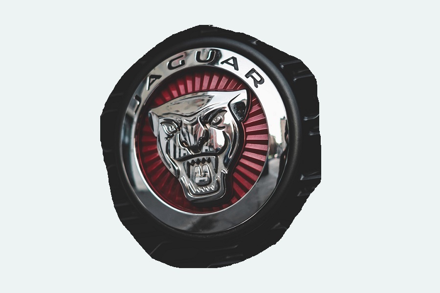 windstop .. JAGUAR windstop .. JAGUAR