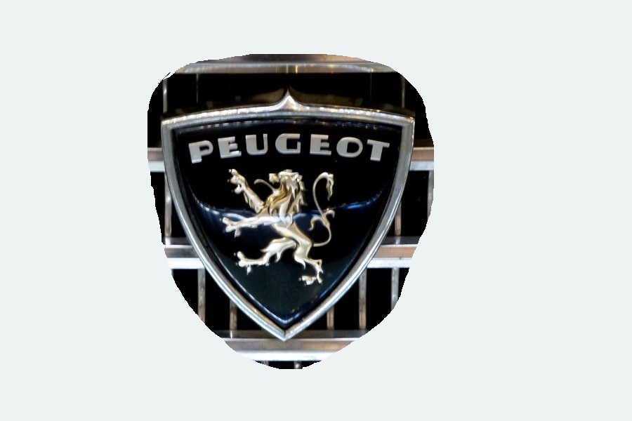 windstop .. PEUGEOT windstop .. PEUGEOT
