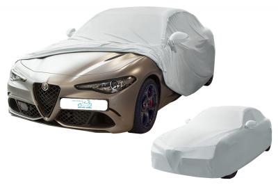AULUX-CAR COVER